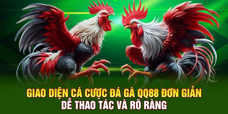 Giao diện cá cược đá gà qq88 đơn giản, dễ thao tác và rõ ràng